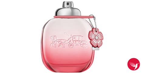 coach floral fragrantica